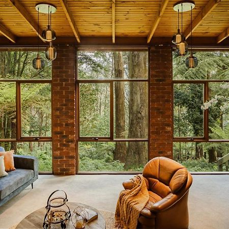 Modern Seednest Treehouse, Forest & Mountain View Villa Sassafras Exterior photo