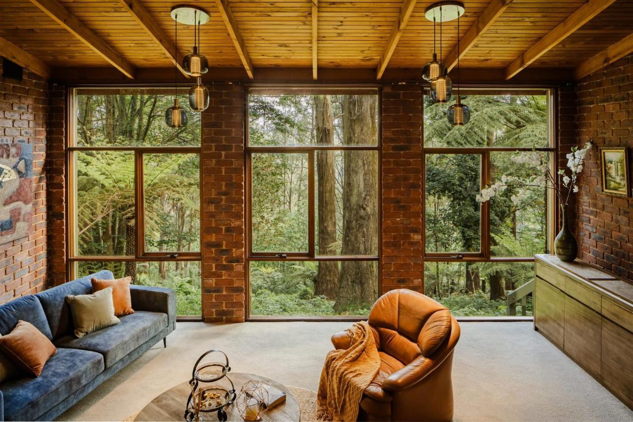 Modern Seednest Treehouse, Forest & Mountain View Villa Sassafras Exterior photo