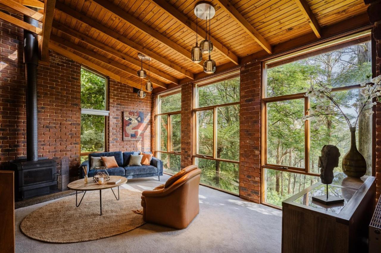 Modern Seednest Treehouse, Forest & Mountain View Villa Sassafras Exterior photo