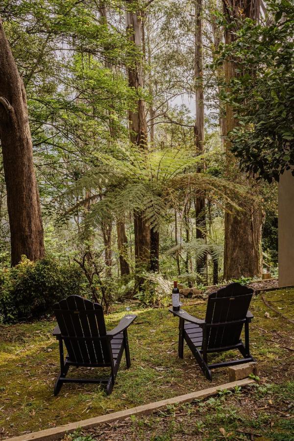 Modern Seednest Treehouse, Forest & Mountain View Villa Sassafras Exterior photo