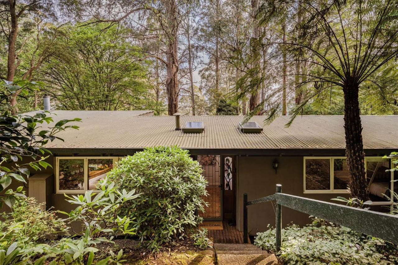 Modern Seednest Treehouse, Forest & Mountain View Villa Sassafras Exterior photo